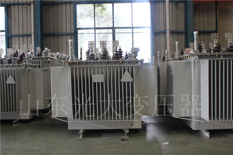丽江S20-500KVA/10KV